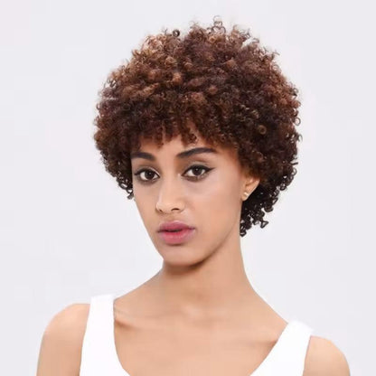 Laissez vous tenter par notre modèle Afro Kaysha, très élégante, cette perruque vous procurera un look ultra naturel, conçue spécialement pour les femmes confrontées à l&